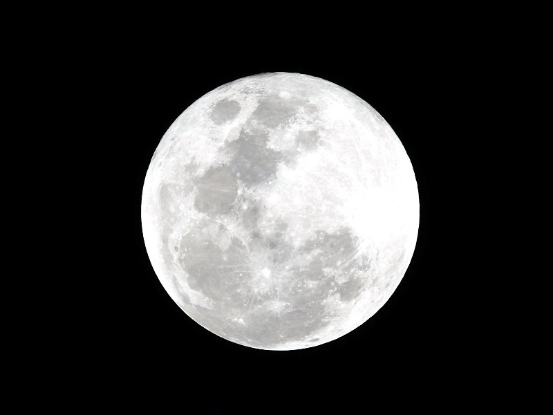 Earth's Stabilizing Moon May Be Unique Within Universe